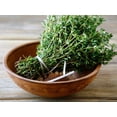 thumbnail image 2 of Corpore Sano Natural Deodorant Spray Thyme-CERTIFIED ORGANIC-NO PARABENS/ALUMINIUM-150 ml/5 fl oz, 2 of 6