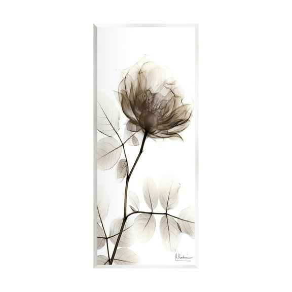 Stupell Industries Contemporary X-Ray Flower Botanical & Floral Photography Unframed Art Print Wall Art, 7 x 17