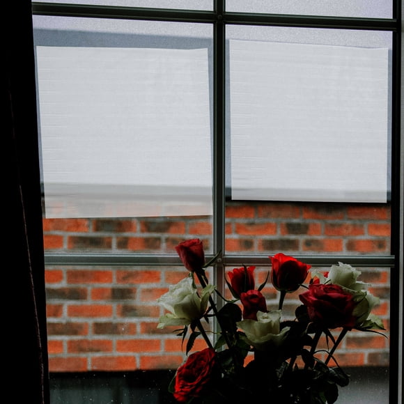 Raindrops Window Frosting Film White Static Cling Privacy Film for Glass Door Bathroom Office Use