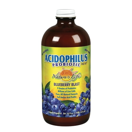 Nature's Life Acidophilus Pro-96 | Liquid Probiotic for Men, Women & Kids | Healthy Gut Support | No Dairy, Vegetarian | Blueberry Blast | 16 oz