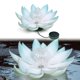 thumbnail image 5 of Nocturna LED Lámpara Flotante para Forma Artificial Piscina Al Aire Libre, 5 of 9