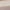 Tan Combo, variant on 99 Jane Street Women's Plus Textured Striped Raglan Sweater, Midweight, Sizes 1X-4X