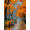 Autumn Park Lamp Bench, variant on Qisvanset Autumn Birds Art Canvas Wall Art 15.75x11.81 Inches