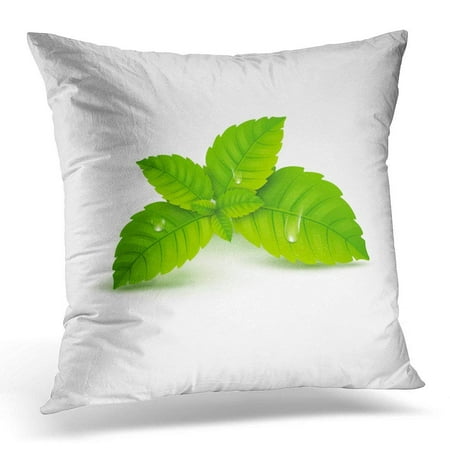 CMFUN Aromatherapy Fresh Mint Leaf Menthol Healthy Aroma Herbal Nature Plant Spearmint Green Balm Pillow Case Pillow Cover 20x20 (Best Way To Store Mint Leaves)
