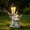D, variant on Solar Panda Garden Statue, Waterproof Resin Animal Figurine with LED Lantern, Outdoor Night Light for Patio and Yard Decoration, 12.6x7.3 Inches