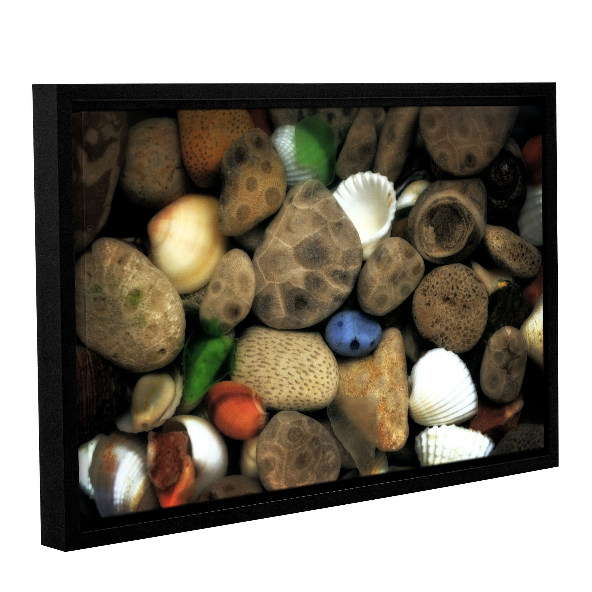 ArtWall Kevin Calkins "Petoskey Stone Collage III" Gallery-Wrapped Floater-Framed Canvas