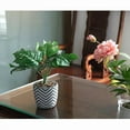 thumbnail image 4 of Plante en pot de Lerman Decor, 4 of 4