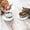 White limestone colo, variant on Pet Silicone Food Mat, Set of 2 Nonslip Waterproof Feeding Bowl Mat with Raised Edges for Food and Water Prevent Spills, Round Eating Tray for Dog Cat Puppy Kitten, 6'' x 6''