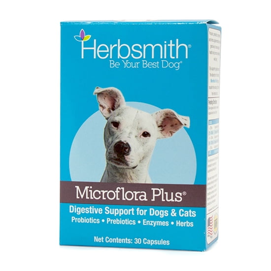 do probiotics make dogs fart