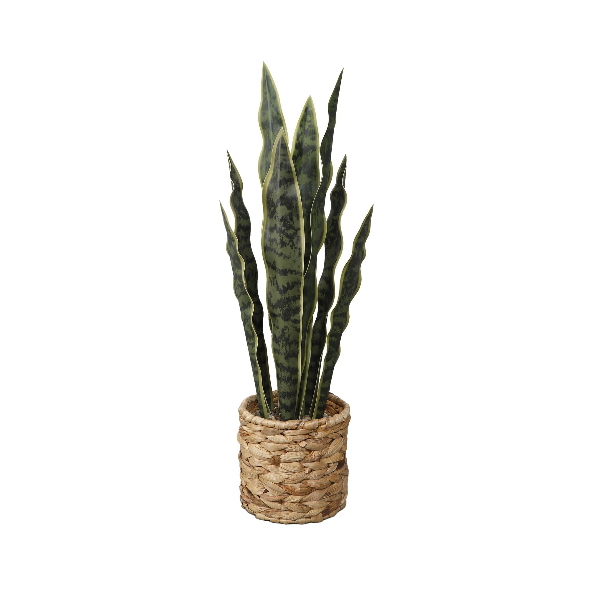 (3 pack) Home Decor Collection Flora Bunda 24.3" Artificial Snake Plant in Rattan Basket