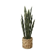 Flora Bunda 24.3" Artificial Snake Plant in Rattan Basket Made for Table Tops- 2lbs