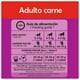 thumbnail image 4 of Alimento Para Gato Whiskas Orignal Sabor Carne  de 20 kg + Arena Alfa Cat de 12 kg, 4 of 4