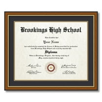 ArtToFrames 16x20 inch Diploma Frame - Framed in Medium Tri-colored Frame with Black and Gold Mats, Comes with Regular Plexi Glass and Sawtooth Hanger for Wall Hanging (D-4446-16x20)