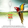 thumbnail image 4 of Fruit Holder, Interesting Toy  Appearance  Fruit Stick, Stainless Steel Easy To Clean Convenient For Parrots Animals Birds Pets, 4 of 8