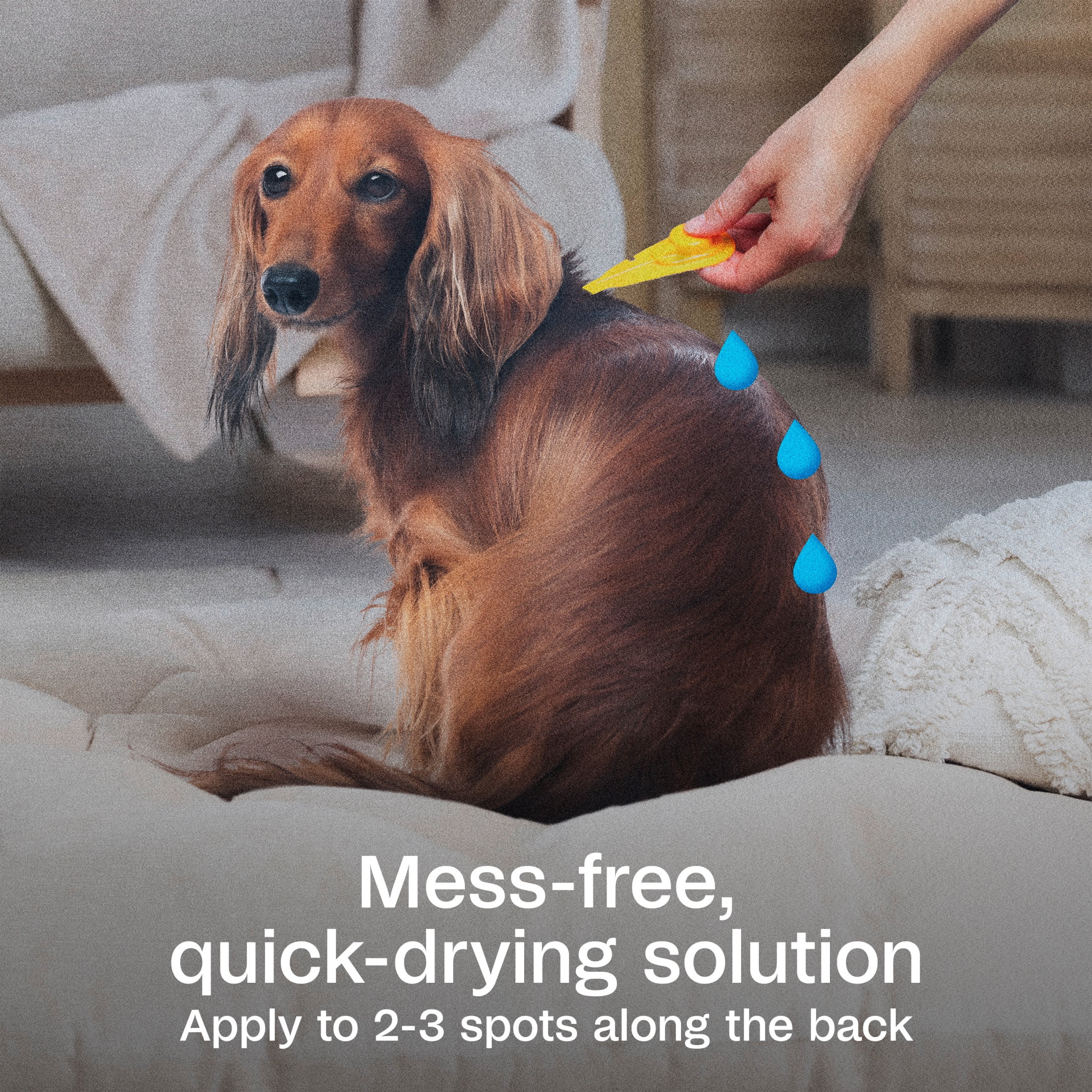 (3 pack) ADAMS Plus Flea & Tick Prevention Spot On for Dogs, Medium Dogs, Kills Fleas & Ticks (Brown Dog/Deer Ticks), Kills and Repels Mosquitoes, Prevents Flea Infestations, 3-Month Supply, 3 pack