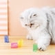thumbnail image 4 of Apuakthei 40 piezas de juguetes de resorte para gatos y gatitos, juguetes de resorte helicoidal de plástico para gatos, juguetes para gatos, ¡los juguetes de resorte para gatos son excelentes regalos, 4 of 5
