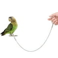 thumbnail image 2 of LingStar Cockatiel FootMulti-size Anklet With Lock Catch Chain Parrot Outdoor Walking Flying Accessories, 2 of 9