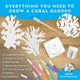 thumbnail image 2 of National Geographic Crystal Reef Coral Growing Lab, 2 of 7