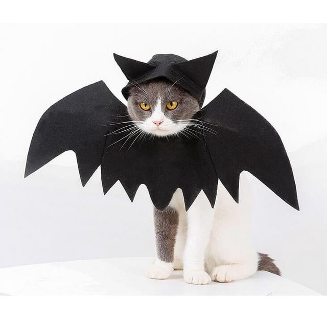 Xihbxyly Vestido de Halloween con Alas para Mascota, Tela Negra Suave, Correa Ajustable En El Pecho, Diseño de Murciélago, Ideal para Fiestas, Apto para Perros, Tallas Xs-Xl.