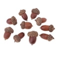 thumbnail image 3 of 40 unidades de conos de pino natural bellotas seca ornamento decoración para hogar diy, 3 of 9
