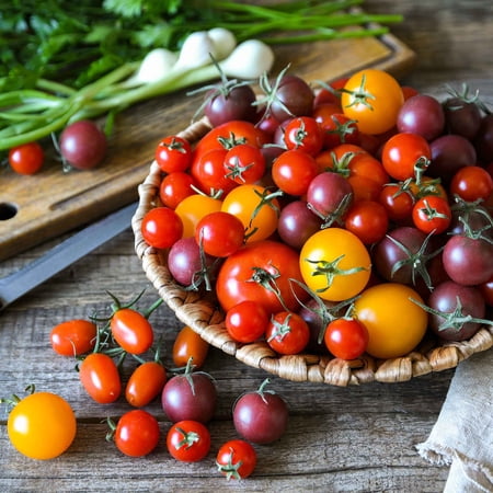 Eden Brothers Tomato Seeds - Rainbow Cherry Mixture