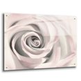 thumbnail image 2 of Epic Art 'Blush Rose III' by Lori Deiter, Acrylic Glass Wall Art, 36"x24", 2 of 10