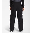 thumbnail image 4 of The North Face Freedom Insulated Pant - Youth Boys, 4 of 4