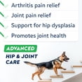 thumbnail image 3 of Glucosamine Chews for Dogs - Hip & Joint Support with Chondroitin, Green Lipped Mussel, MSM & Collagen - Joint Pain Relief - Bacon (180 ct), 3 of 8