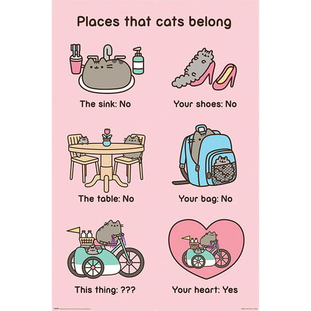 Pusheen The Cat - Poster / Print (Places That Cats Belong) (Size: 24