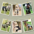 thumbnail image 5 of Arnés Táctico De Perros Grande Mediano Pequeño, Ajustable, 5 of 5