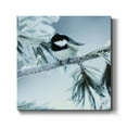 thumbnail image 1 of Frosty Perch-Premium Gallery Wrapped Canvas - Ready to Hang, 1 of 3