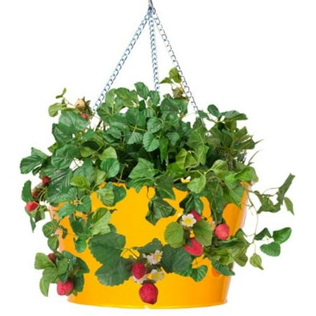 Enameled Galvanized Hanging Strawberry & Flower Planter  Saffron