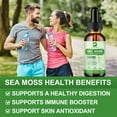 Beworths Organic Sea Moss Liquid Drops 10000mg 5X Stronger than Gummy