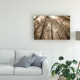 thumbnail image 3 of Trademark Fine Art 'Forest Under Sky Sepia Tone' Canvas Art by Monte Nagler, 3 of 3