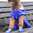thumbnail image 4 of Keep Your Pet's Paws Dry and Protected with Waterproof Rain Shoes!, 4 of 4