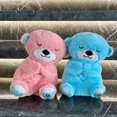 thumbnail image 4 of Oso de peluche creativo que respira, nutria relajante para bebés, juguetes de peluche, música relajante para novias, compañero para dormir, muñecos con sonido y luz, regalos, 4 of 5