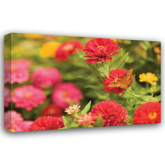 Karyn Millet 24x17 Gallery Wrapped Canvas Wall Art Titled - Butterfly Field I