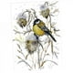 thumbnail image 1 of Kits de punto de cruz estampados patrones de flores tela preimpresa manualidades de bricolaje y kit de puntos de costura para decoración del hogar 29 x 37cm 14CT Macarena Kits de punto de cruz estampado de aves, 1 of 8