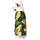 thumbnail image 1 of Balery Fresh Avocado Sudadera con Capucha para Perros Pequeños – Ropa para Mascotas, Disfraz para Perros y Gatos, Ideal para Fiestas y Cosplay-X-Large, 1 of 7