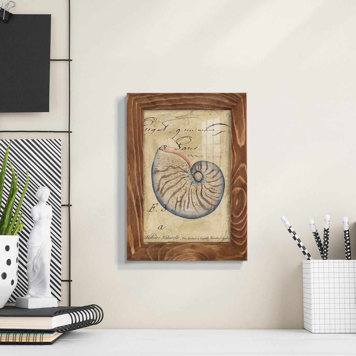 Seashell Ephemera II - Framed Print w/glass - Walnut