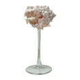 thumbnail image 1 of Copa de champán con forma de caracola, regalo de Navidad, copas de Martini únicas para adultos D, 1 of 9