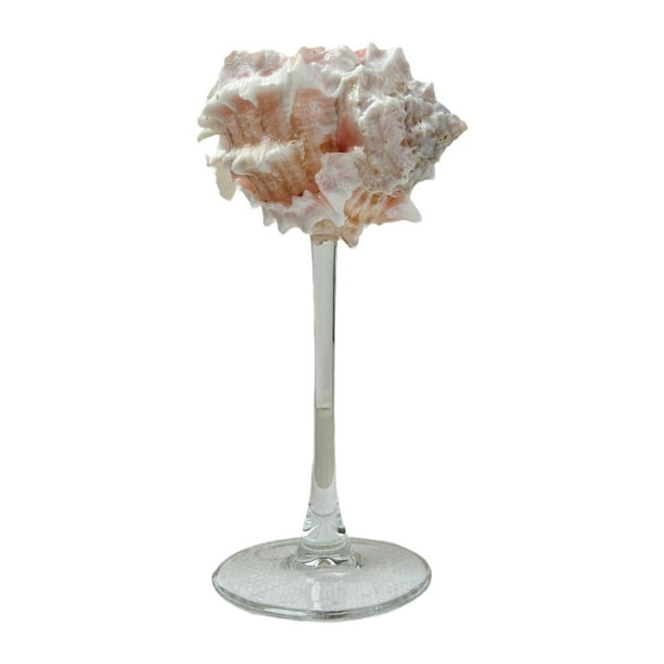 Copa de champán con forma de caracola, regalo de Navidad, copas de Martini únicas para adultos D