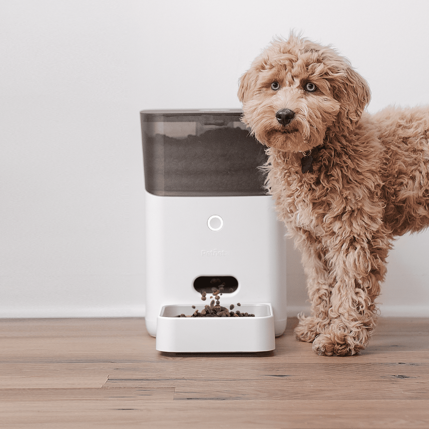 Petnet top smart feeder