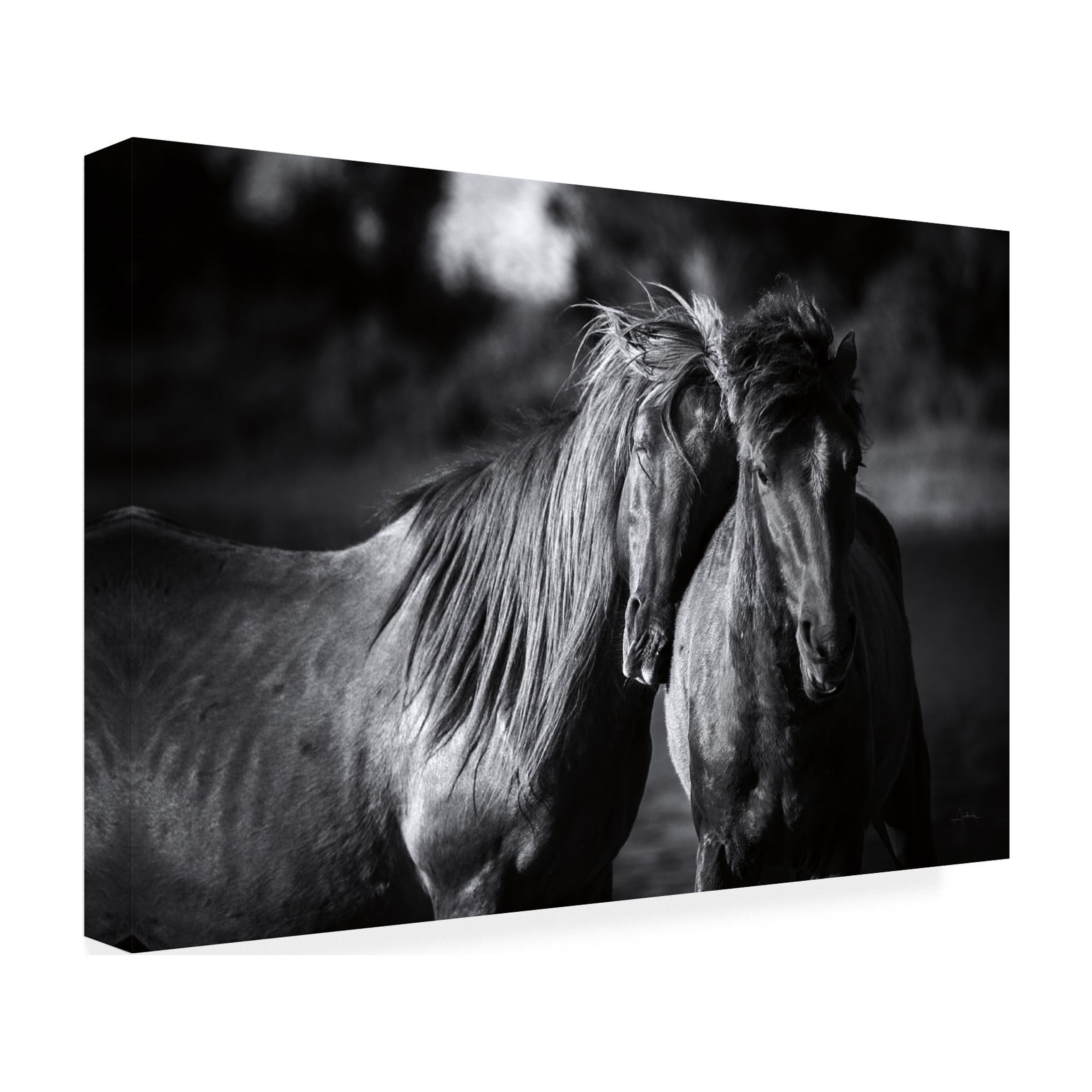 Trademark Fine Art 'Buddies Horse' Canvas Art by Aledanda
