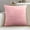 E-221, variant on AuroraX Velvet Throw Pillow Covers Solid Decorative 18x18 Inch Square Pillow Covers Outdoor Super Soft Minimalist Cushion Cases Sofa Couch,Home Decor