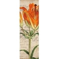 thumbnail image 2 of Berg, Sabine 9x18 Black Ornate Wood Framed with Double Matting Museum Art Print Titled - Jardin Botanique II, 2 of 4