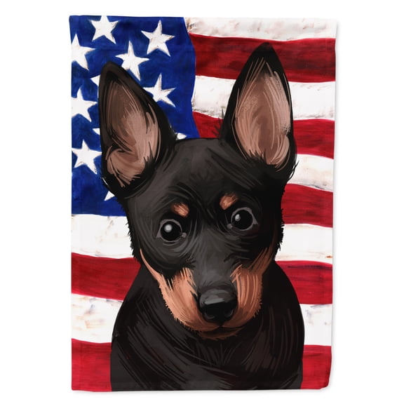 Carolines Treasures CK6603GF Lancashire Heeler American Garden Size Outdoor-Flags, Multicolor