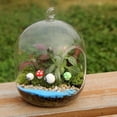 thumbnail image 5 of Maceta de vidrio carnosa, planta carnosa, botella de vidrio, jarrón carnoso transparente, botella colgante creativa, botella colgante, botella de micro paisaje, 5 of 5