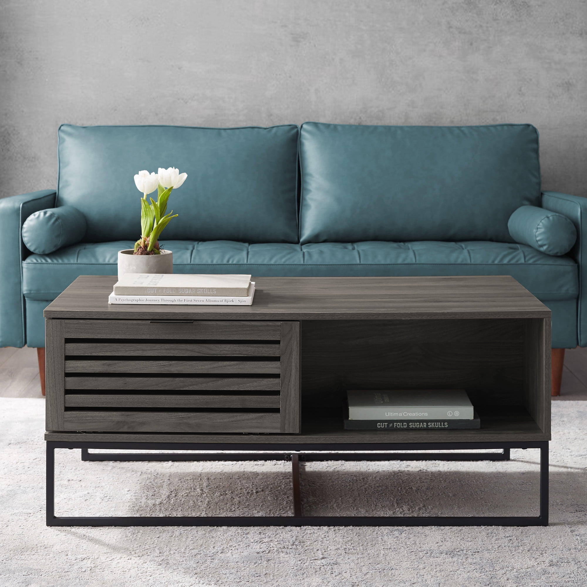 Niantic Modern Slat Door Storage Coffee Table, Slate Grey