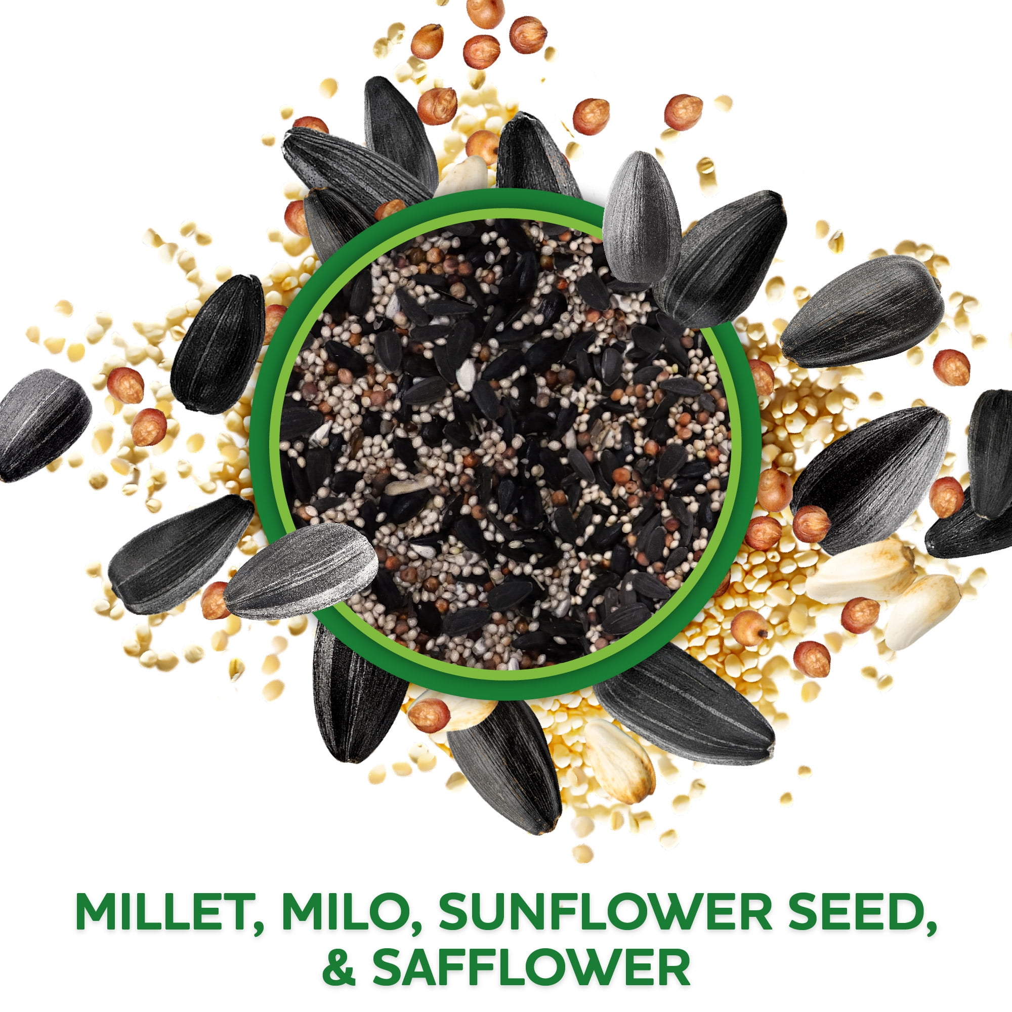 Vibrant Life Songbird Select Wild Bird Seed, 20 lb Bag